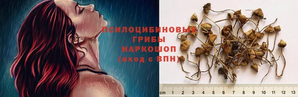 гидра Балахна
