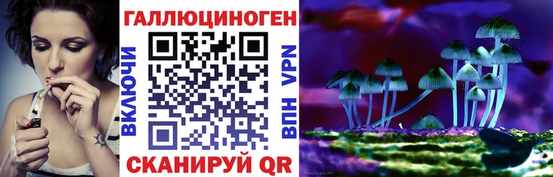 Галлюциногенные грибы Psilocybine cubensis  Среднеколымск 